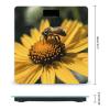 YJWANDL Scale for Body Weight Yellow Flower with Black Bee Print Weight Scale Digital Scale Body Fat Scale Weight Scale LCD Scale Slim Scale, style view 2