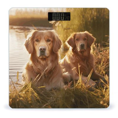 YJWANDL Scale for Body Weight Two Golden Retrievers Print Weight Scale Digital Scale Body Fat Scale Weight Scale LCD Scale Slim Scale, style