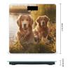 YJWANDL Scale for Body Weight Two Golden Retrievers Print Weight Scale Digital Scale Body Fat Scale Weight Scale LCD Scale Slim Scale, style view 2