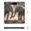 YJWANDL Scale for Body Weight Two Elephants Playing Print Weight Scale Digital Scale Body Fat Scale Weight Scale LCD Scale Slim Scale, style view 2