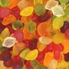 Sugar Free Fruit, Bears Gummy Jelly suitable for Diabetics Retro Sweet Shop Traditional Old Fashioned (200g, Fruit Gummy) view 1