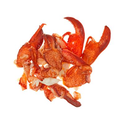 Frozen & Vac Pac Cooked Lobster Meat 320g x 12 Packs
