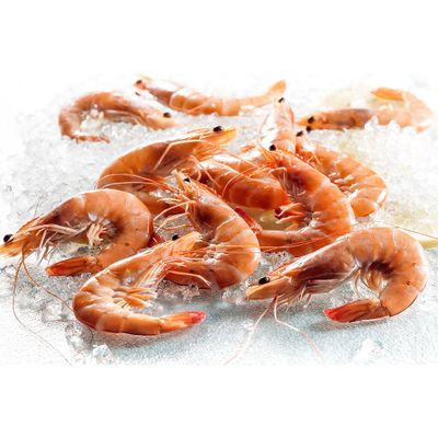 Frozen Raw Head-On Argentinian Reds 2kg x 6 Packs  Premium Whole Red Shrimp