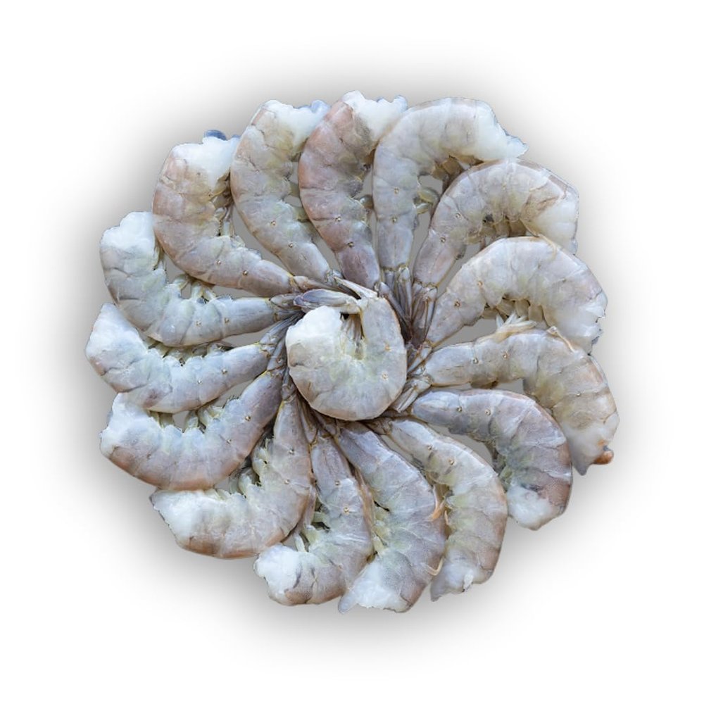 Frozen Raw Easy Peel Headless Shell On Fresh Water King Prawns 800g x 10 Packs (13-15 per pack)