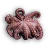 Frozen Whole Raw Cleaned Octopus 2-3kg x 5 Packs view 1