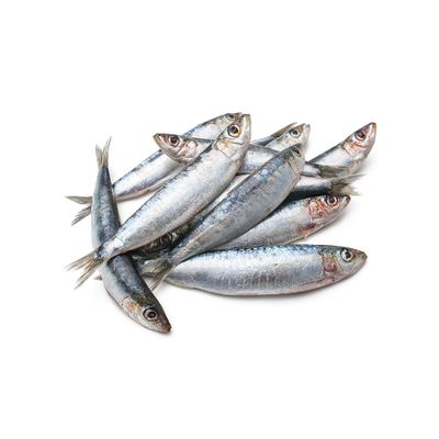 Frozen Sardines 800 g 12 Pack Whole Deep-Frozen Atlantic Sardines 9.6 kg Total (800 g per Bag) Rich in Omega-3, Vacuum Packed for Freshness, Ideal for Grilling, Baking & Family Meals