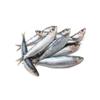 Frozen Sardines 800 g  12 Pack  Whole Deep-Frozen Atlantic Sardines 9.6 kg Total (800 g per Bag)  Rich in Omega-3, Vacuum Packed for Freshness, Ideal for Grilling, Baking & Family Meals view 1