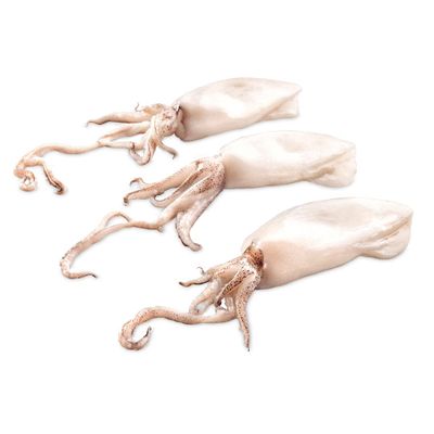 Frozen Whole Cleaned Baby Squid 10-20 (1kg x 10 Packs)