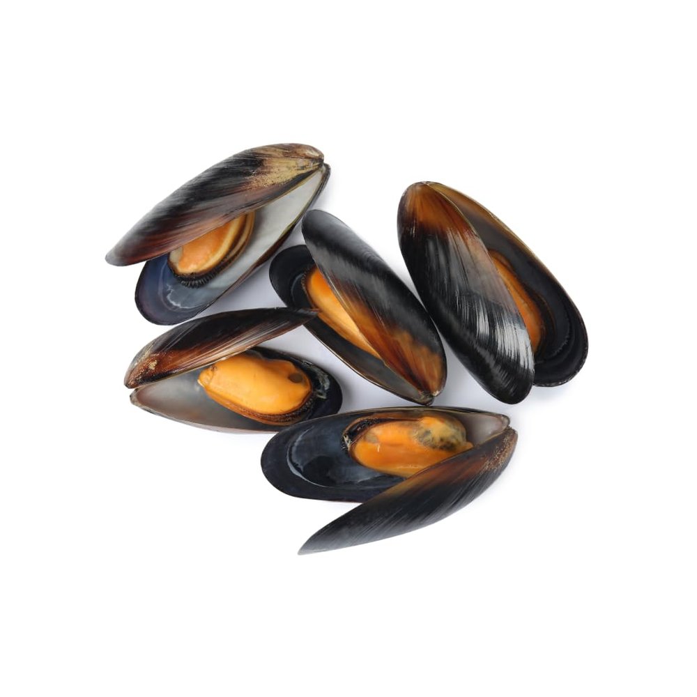 Frozen & Vac-Pac Cooked Whole Shell Mussels 1kg x 5 Packs