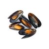 Frozen & Vac-Pac Cooked Whole Shell Mussels 1kg x 5 Packs view 1