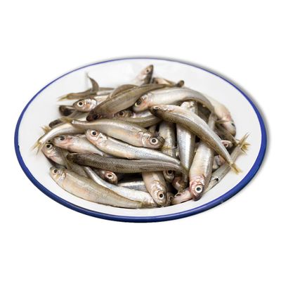 Frozen Whole Blanchbait 454g x 18 Packs