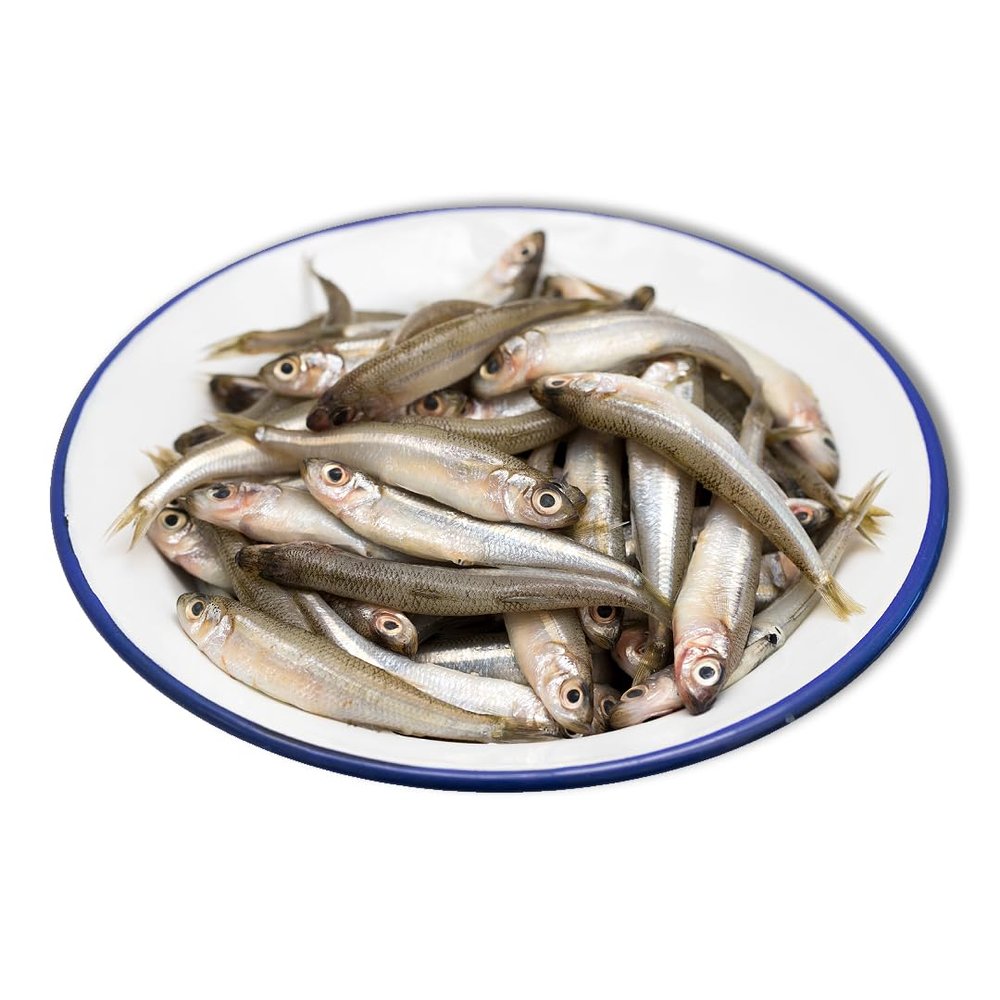 Frozen Whole Blanchbait 454g x 18 Packs
