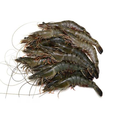 Semi-Frozen Raw Head-On Black Tiger (8-12) 1kg x 10 Packs