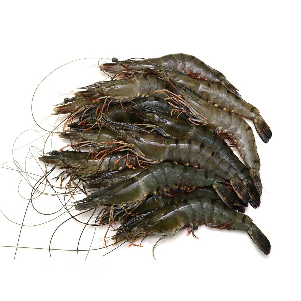 Semi-Frozen Raw Head-On Black Tiger (8-12) 1kg x 10 Packs