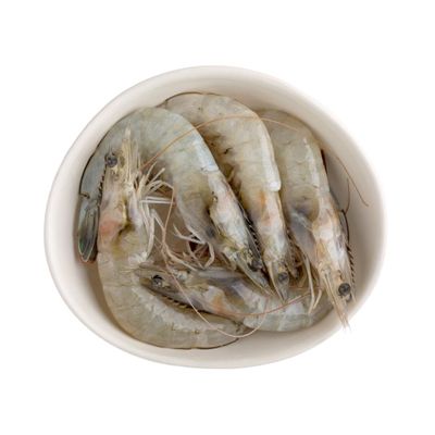 Raw Frozen Vannamei King Prawns Block 16-20 (800g x 6 Packs)