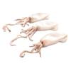 Frozen Whole Cleaned Baby Squid 20-40 (1kg x 10 Packs) view 1