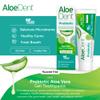Aloe Dent - Probiotic Aloe Vera Gel Toothpaste - Fluoride Free - Balances Microbiome, Supports Healthy Gums & Freshens Breath - Vegan, Cruelty Free & SLS Free - 75ml - 1 Pack view 2