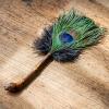 Domasvmd Peahen Feather Duster For Cleaning Home Household Car Furniture Cleaning Brush Anti-static Dust Removal Tool Peahen Duster view 4