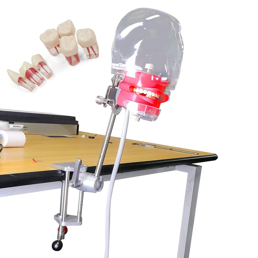 Dental Simulator Manikin 360 Adjustment for Dental School Education or Clinic Simulation Training - Phantom Head Training Fixed On Dental Chair