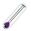 10 Modes Quiet Powerful Handheld Electric Bullet Massage Tool for Woman Sports Recovery Muscle Aches Pain Foot Massage Relax,Pocket Travel Personal Bullet Rod Portable Massage Ball B8OL (Silver) view 2