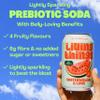 Living Things Prebiotic Soda - Gut Health & Low Calorie Drink - 12 x 330ml Cans - High in Fibre - Watermelon & Lime view 4