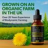Dandelion Whole Plant Extract Drop | High Strength 1,000mg | 100mls 3 Month Supply (100 Servings) | Organic Plant Extract UK Grown & Produced | Water Retention | GMDP, MHRA, ORG Certified view 2