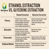 Dandelion Whole Plant Extract Drop | High Strength 1,000mg | 100mls 3 Month Supply (100 Servings) | Organic Plant Extract UK Grown & Produced | Water Retention | GMDP, MHRA, ORG Certified view 4