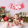 Strawberry Party Decorations for 1st Birthday - Sweet One Highchair Banner For Photo Booth Props And Strawberry Cake Smash, Best Sweet One Birthday Party Supplies For Kids(strawberry one banner) view 4