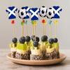 AK Giftshop Scotland Football Party Food & Cupcakes Picks Decorations Toppers Euro World Cup (pack of 14) view 4