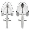 Aidapt Adaptive Large Handled Fork and Spoon Set Utensils with Multi Angled Head Adjustment for Use Arthritis, Disabled, Elderly view 3