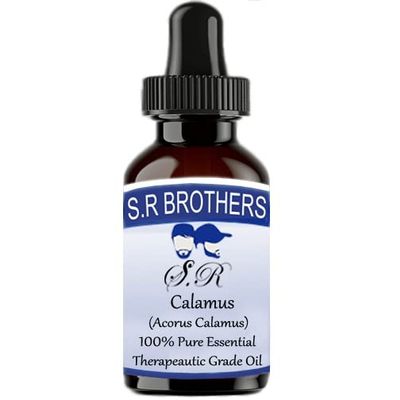 Calamus (Acorus Calamus) Pure Essential Therapeautic Grade Oil (10ml) Plastic with Dropper