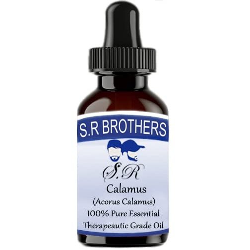 Calamus (Acorus Calamus) Pure Essential Therapeautic Grade Oil (10ml) Plastic with Dropper