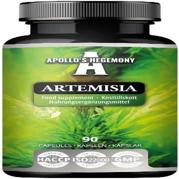 Artemisia 300 mg - Mugwort Wormwood Extract DER 4:1-90 Vegan Capsules - 2 Months Supply - Supplement for Digestive Support - by Apollo's Hegemony