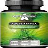 Artemisia 300 mg - Mugwort Wormwood Extract DER 4:1-90 Vegan Capsules - 2 Months Supply - Supplement for Digestive Support - by Apollo's Hegemony view 1