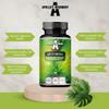 Artemisia 300 mg - Mugwort Wormwood Extract DER 4:1-90 Vegan Capsules - 2 Months Supply - Supplement for Digestive Support - by Apollo's Hegemony view 3