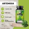 Artemisia 300 mg - Mugwort Wormwood Extract DER 4:1-90 Vegan Capsules - 2 Months Supply - Supplement for Digestive Support - by Apollo's Hegemony view 4