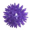 10 Set of Spike Massage Ball Exercise Foot Massage Ball for Back Hand Palms Feet Soles Purple, 6 cm view 2
