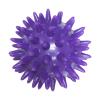 10 Set of Spike Massage Ball Exercise Foot Massage Ball for Back Hand Palms Feet Soles Purple, 6 cm view 4