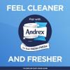 Andrex Classic Clean Toilet Rolls - 36 Toilet Roll Pack and Kleenex Balsam Facial Tissues - Pack of 12 Tissue Boxes view 4