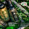 Caravella Fine Food - Extra Virgin Olive Oil Classico 500 ml -100% italian-Exclusive Gourmet Collection-Cold extraction-High in polyphenols and antioxidants-Fresh harvest view 4