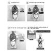 iFutniew 3D Removable Anatomical Human Torso Body Model for Education Toy Human Body Structure Teaching for Child Kid Student view 3