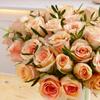 La belle and Chocolates - Fresh Flowers - Birthday, Anniversary, Get Well, Thank You, Occasion Flower - Cut Floral Arrangement for Gifts, Weddings, Sympathy, Celebrations, and Special Events view 4