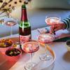 DRYCK BUBBEL PPLE & LINGON - Sparkling Refreshment with a Nordic Twist 750 ML view 3