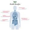 Foods For Gut Bifidobacterium Bifidum Probiotic Powder 100 Billion cfu's | Made in USA | No Additives | Digestive & Immune Support | High Potency | B. Bifidum | 60 Grams (2.11 Oz) view 4