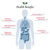 Foods For Gut Bifidobacterium Lactis Probiotic Powder 500 Billion cfu's | Made in USA | No Additives | Digestive & Immune Support | High Potency | B. Lactis | 60 Grams (2.11 Oz) view 4