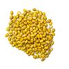 Uganda Yellow Beans I Phaseolus Vulgaris I Product of Uganda I 500G view 2