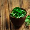 Fresh Curry Leaves I Murraya koenigii I 50G view 2
