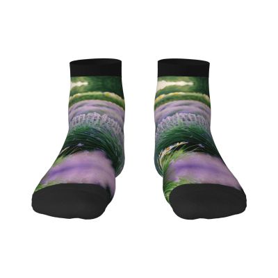 ZISHAK Lavender And Daisy Print Comfortable Straight Tube Socks,Ideal For Sports And Leisure Activities, Lavender and Daisy, One size