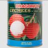 Lychee in bulk - Tinned lychees in syrup, Canned fruit for cocktail, tea and more (12x567g) view 2