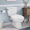 ZHCHAO Button Bidet NonElectricSelf Cleaning Nozzle Frontal And Rear Wash view 2